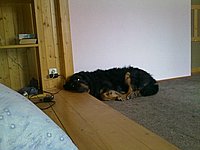 tomaass_jaro010 (13).jpg