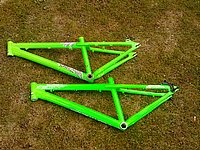 tomaass_jaro010 (3).jpg