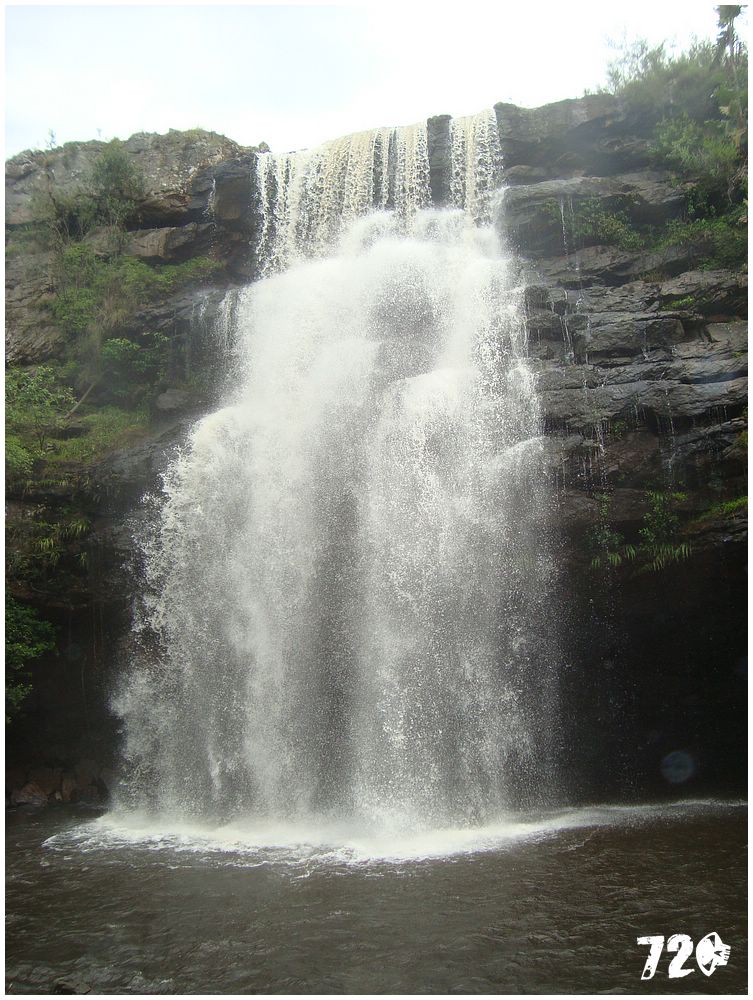 angels dole.JPG