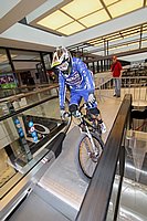 IMG_1710.jpg
