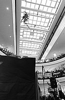 IMG_1747.jpg