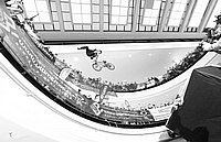 IMG_1805.jpg