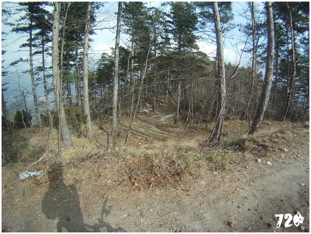 azcoastvol4 (50).jpg