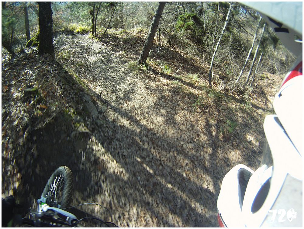 azcoast2010dve (13).jpg