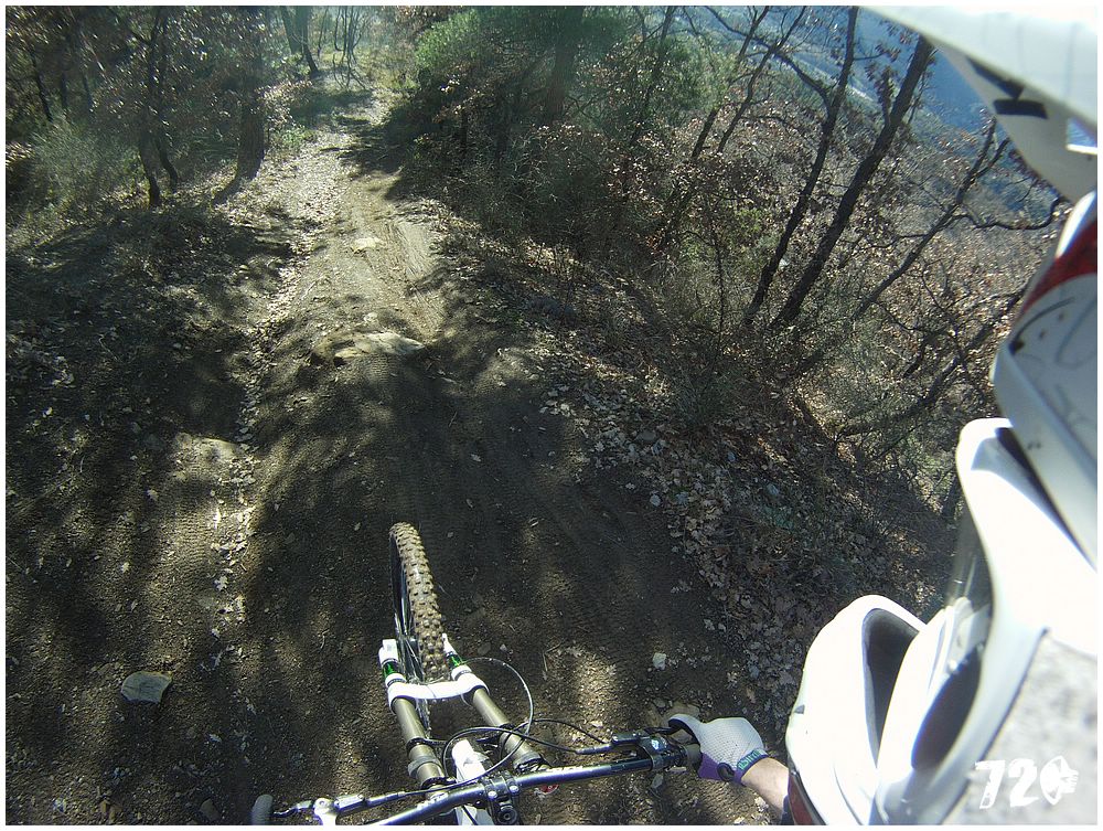 azcoast2010dve (16).jpg