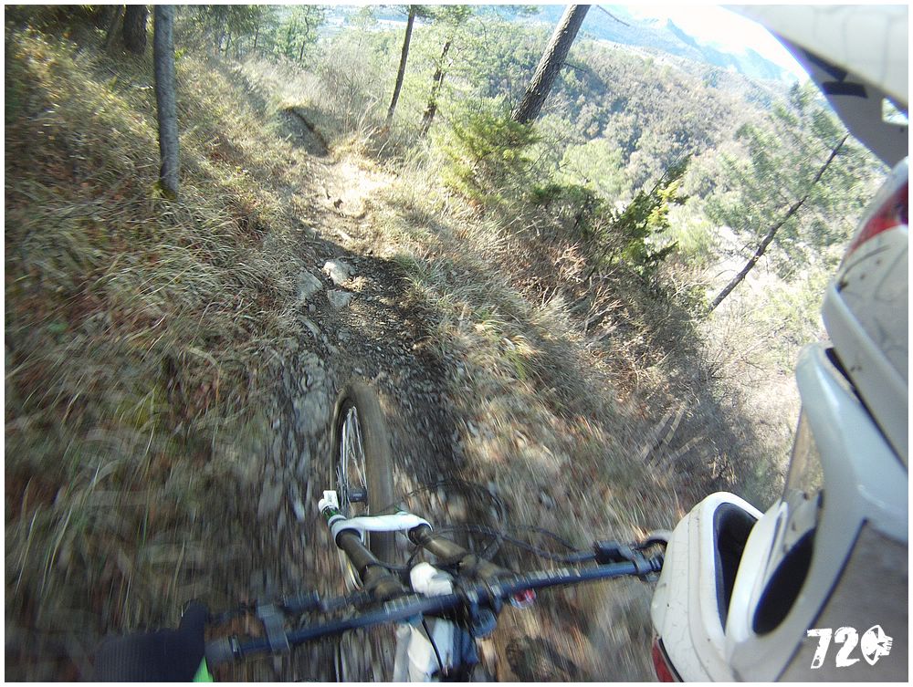 azcoast2010dve (23).jpg