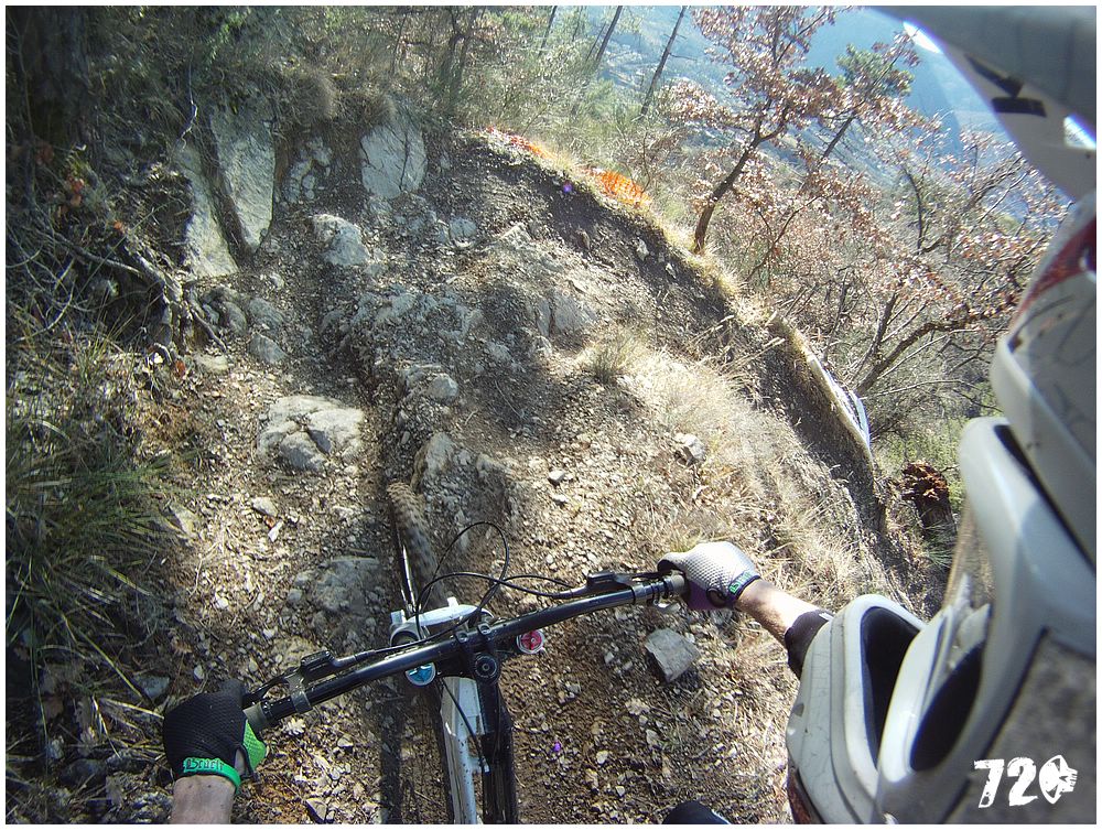 azcoast2010dve (25).jpg