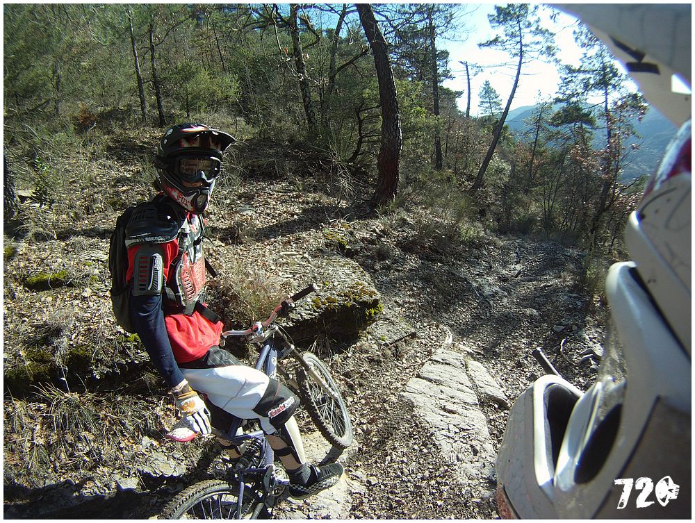 azcoast2010dve (26).jpg