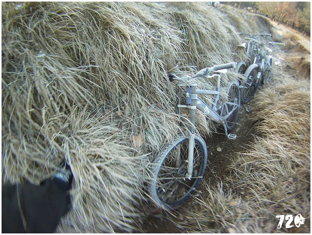 azcoast2010dve (30).jpg