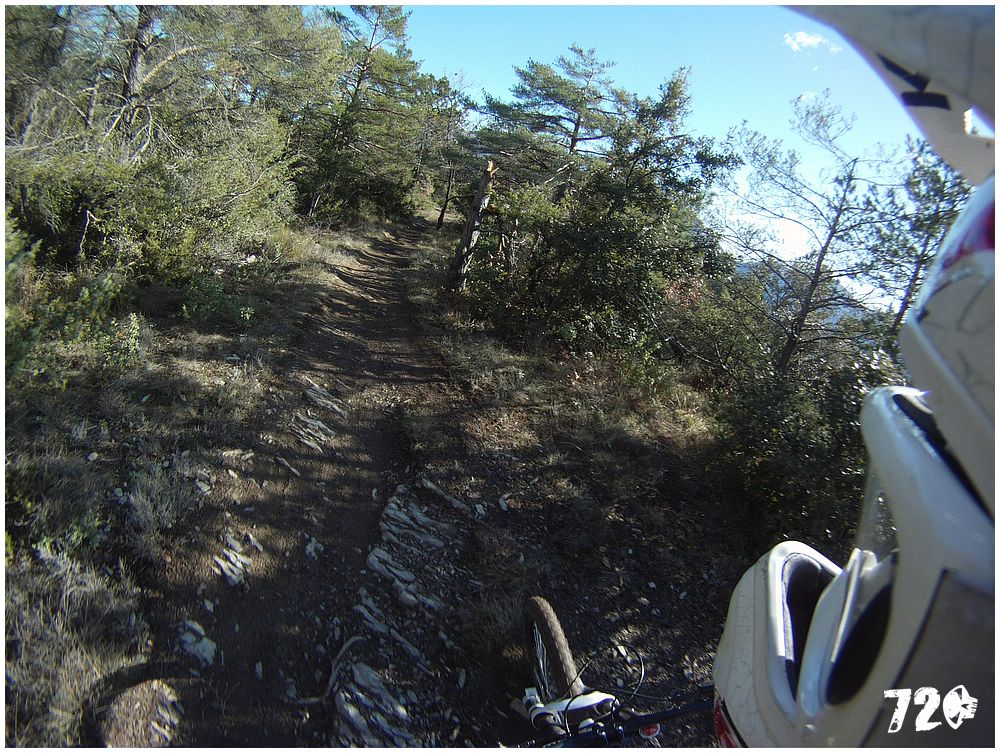 azcoast2010dve (9).jpg