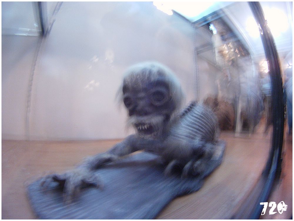 monaco_chasnikdve (58).jpg