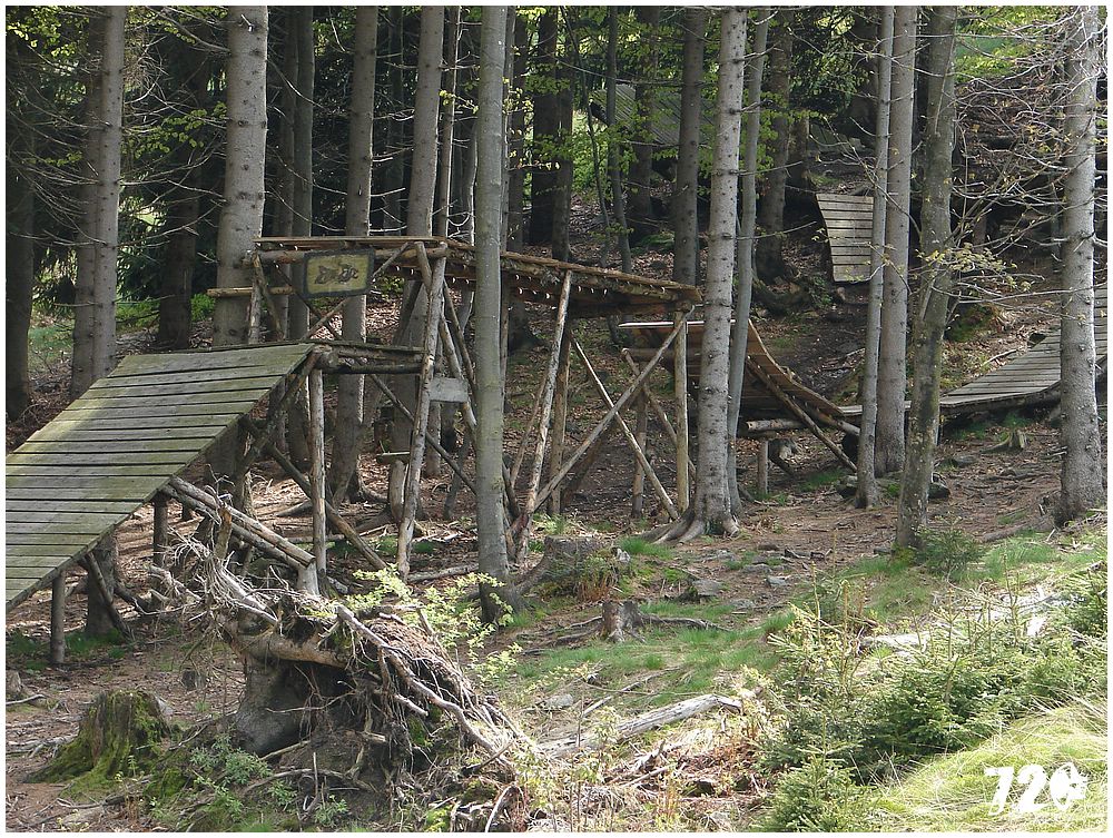 geis2010jaro (17).jpg