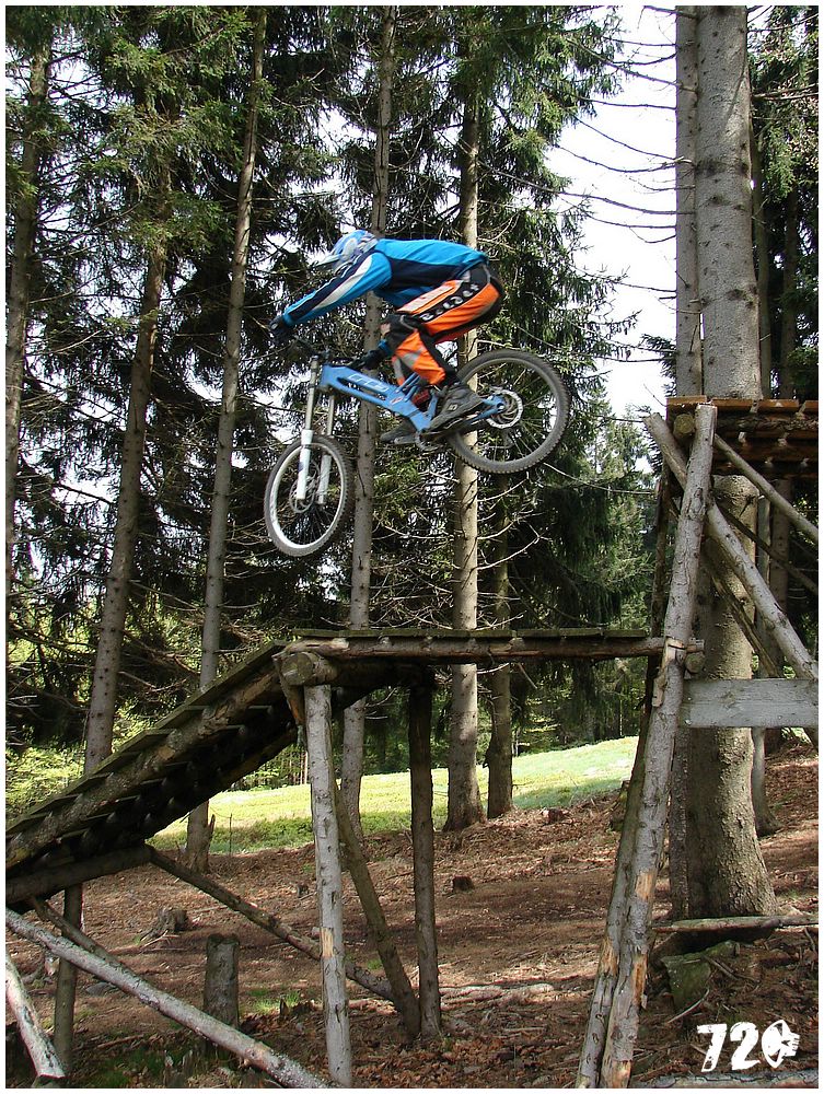 geis2010jaro (21).jpg