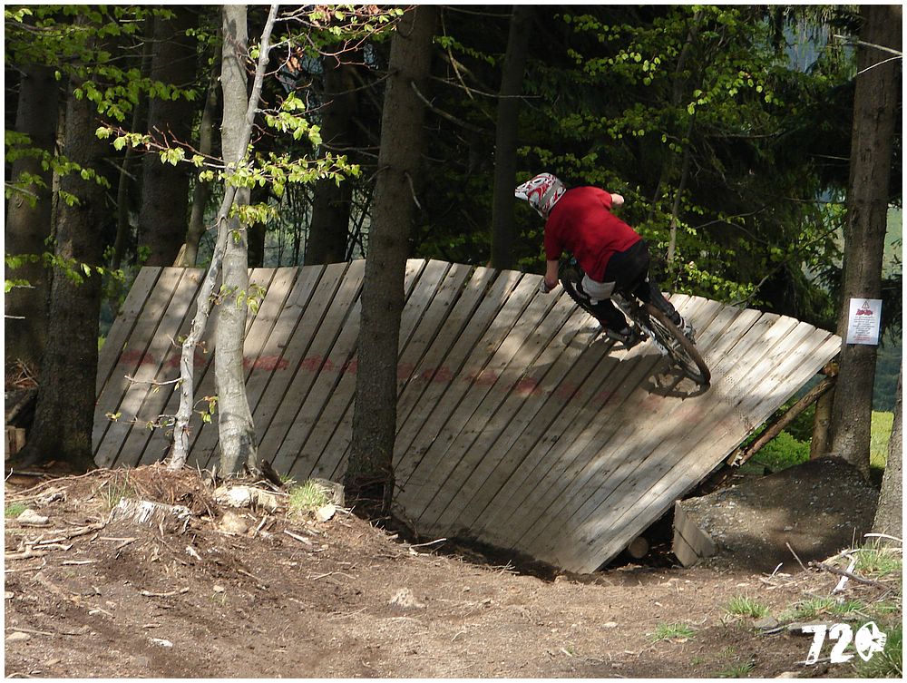 geis2010jaro (24).jpg