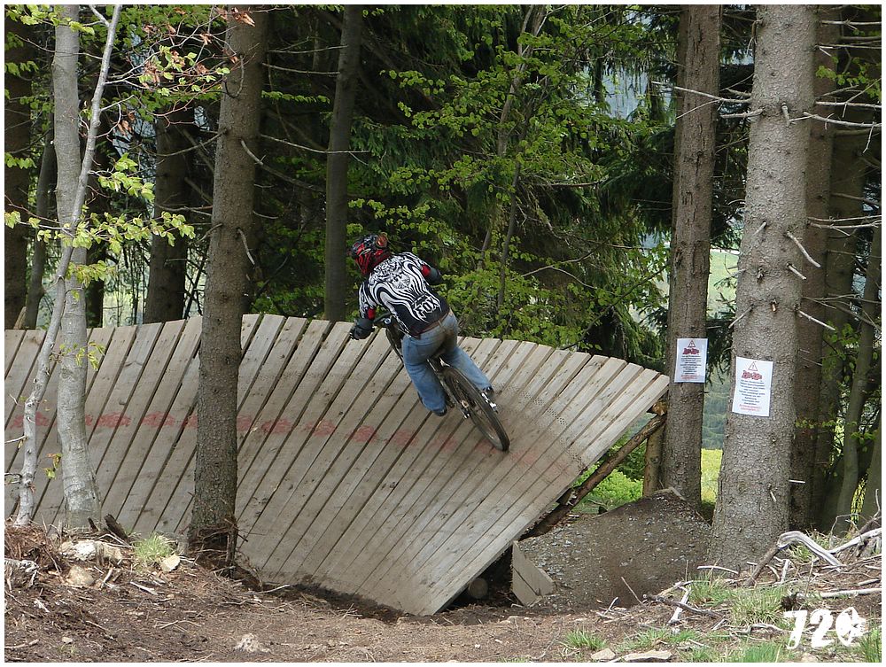 geis2010jaro (25).jpg