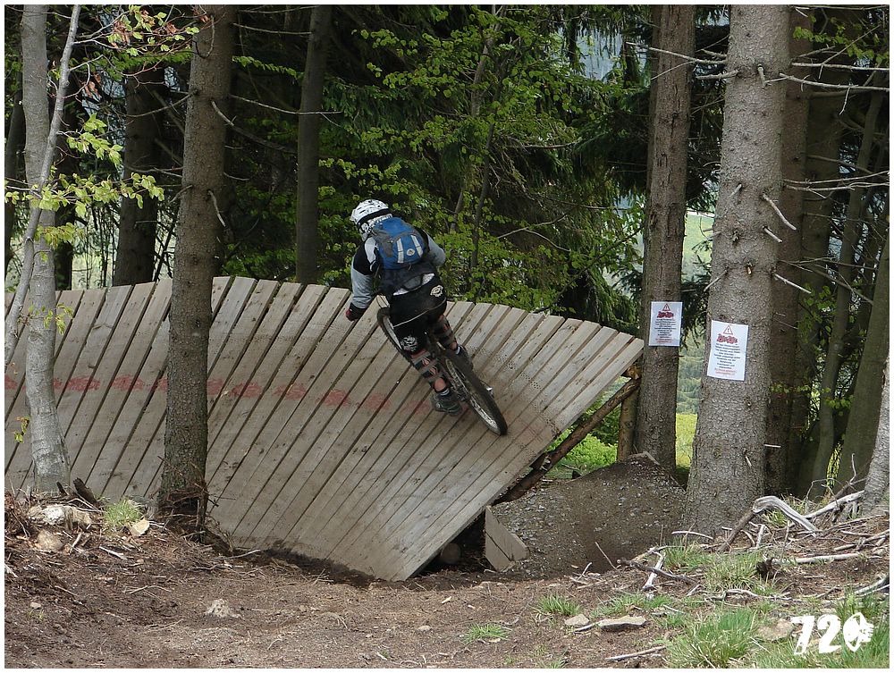 geis2010jaro (26).jpg