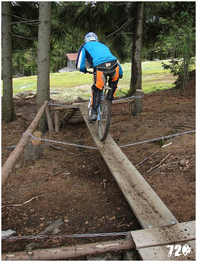 geis2010jaro (27).jpg