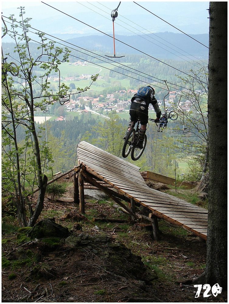 geis2010jaro (29).jpg