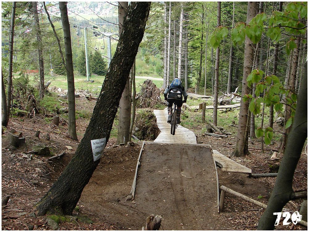 geis2010jaro (33).jpg