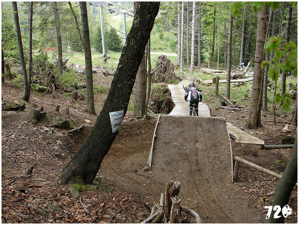 geis2010jaro (34).jpg