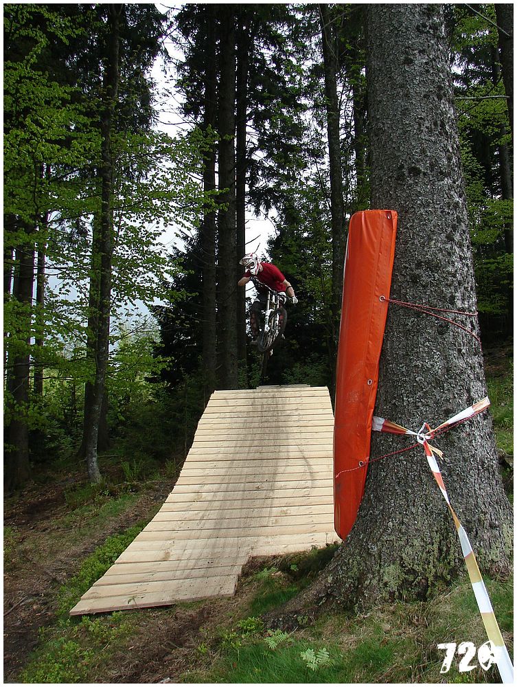 geis2010jaro (36).jpg