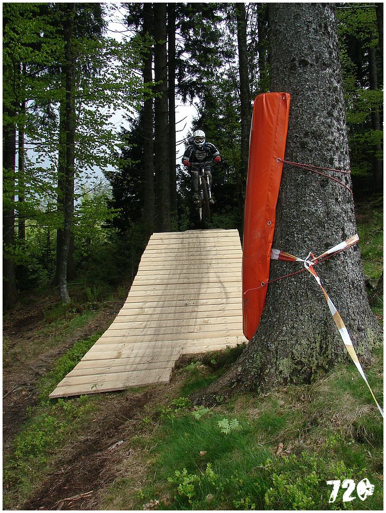 geis2010jaro (37).jpg