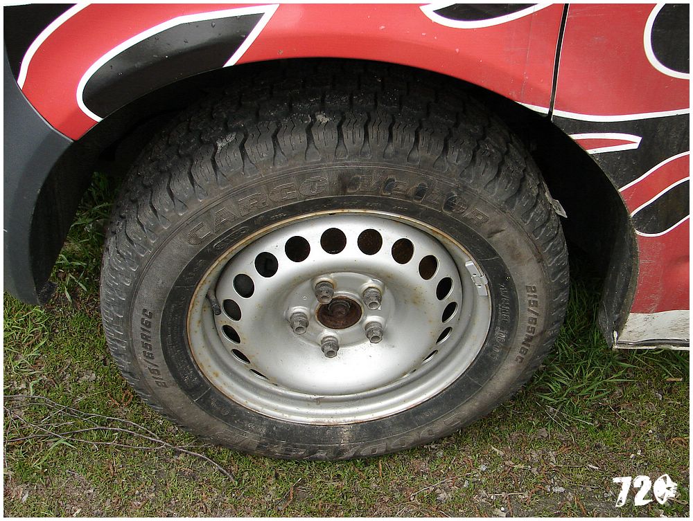 geis2010jaro (41).jpg