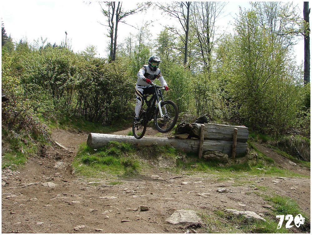 geis2010jaro (5).jpg