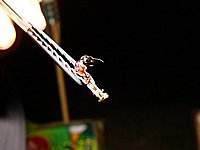 geisshamman (36).jpg