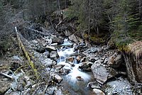 DSC_0210.JPG