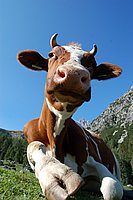 jandy_prazky09 (20).jpg