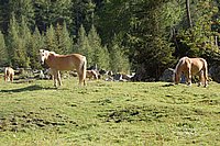 jandy_prazky09 (21).jpg