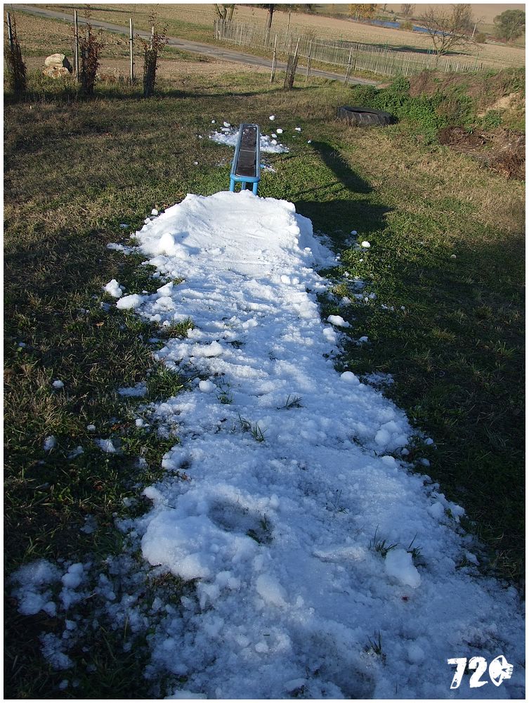 DSCF9581.JPG