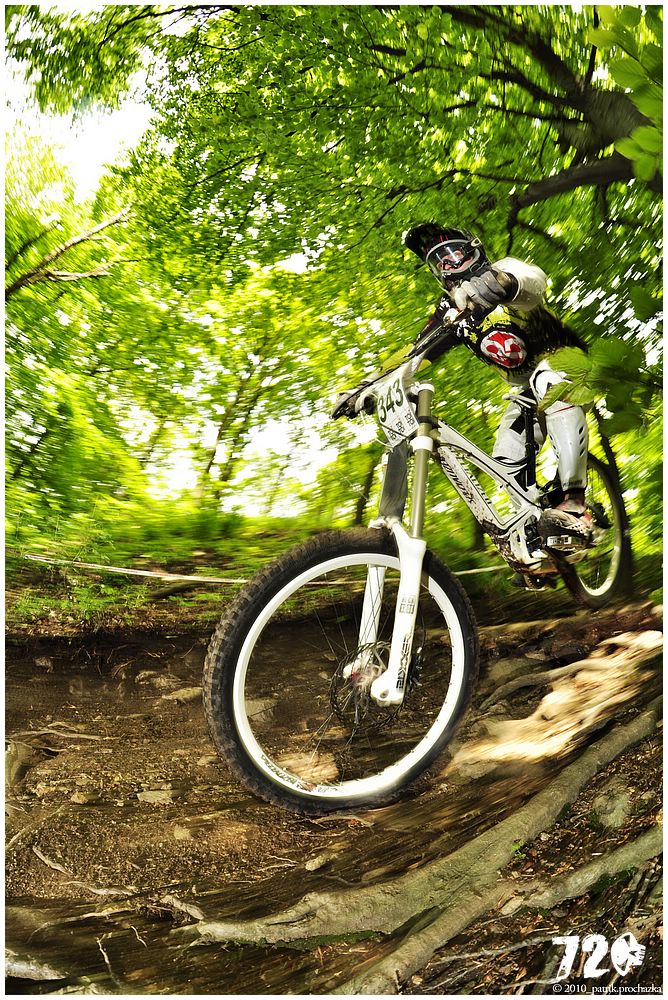 krupka2010CPDH (26).jpg