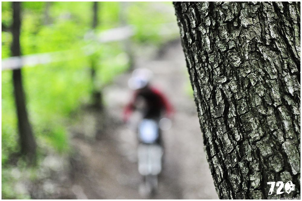 krupka2010CPDH (29).jpg