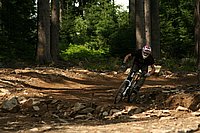 lipno09jaro (11).jpg