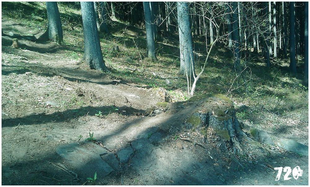 moninec20106 (1).jpg