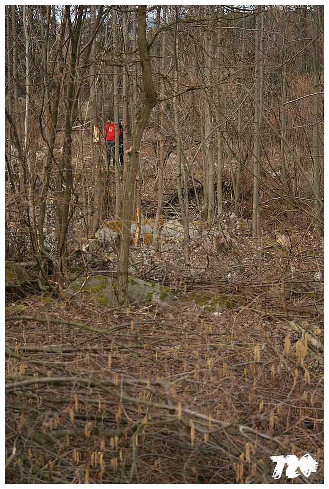 konecbrigar jaro (19).jpg