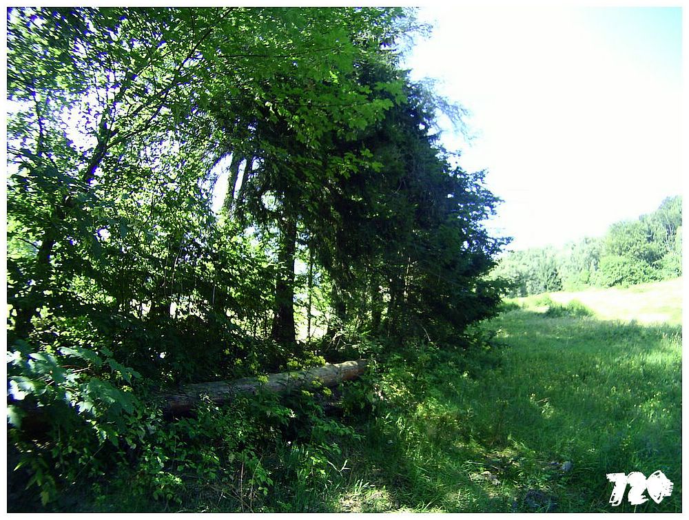 konecbrigar jaro (30).jpg