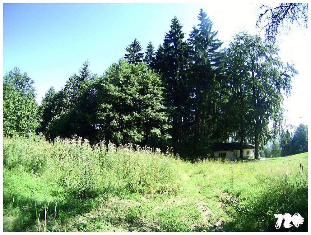 konecbrigar jaro (31).jpg