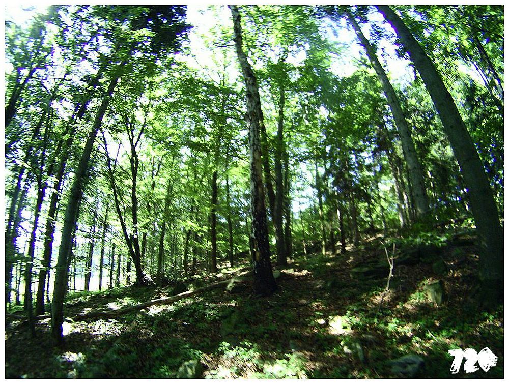 konecbrigar jaro (32).jpg