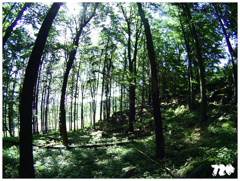 konecbrigar jaro (34).jpg