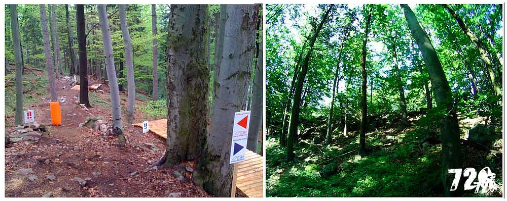 konecbrigar jaro (38).jpg