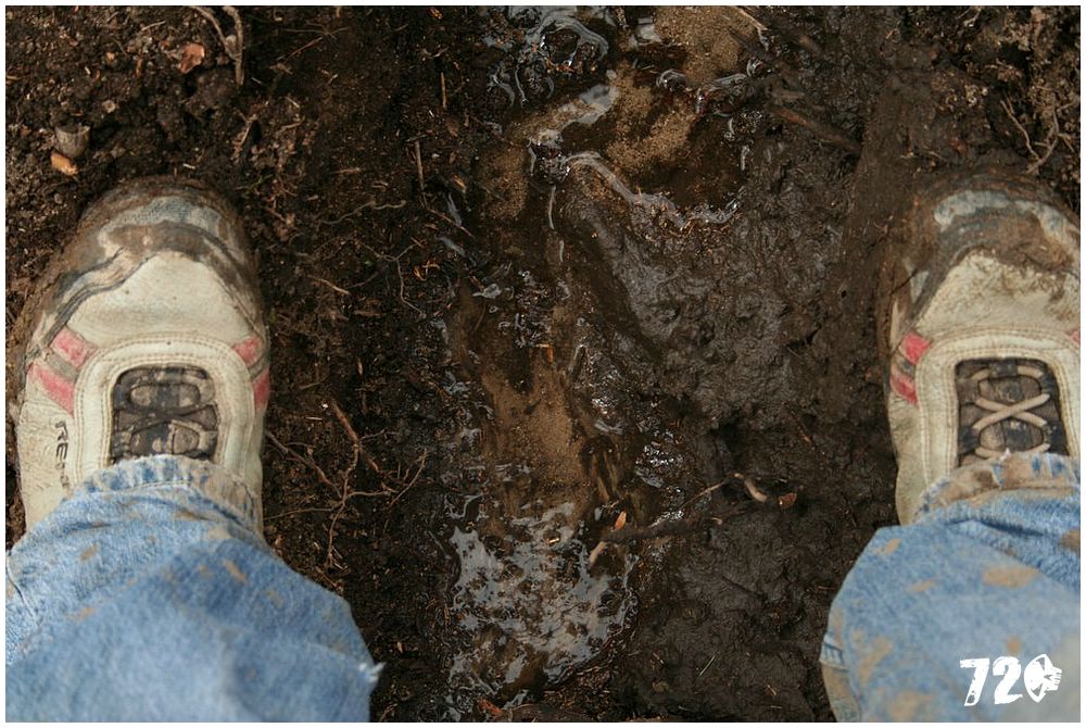 konecbrigar jaro (44).jpg