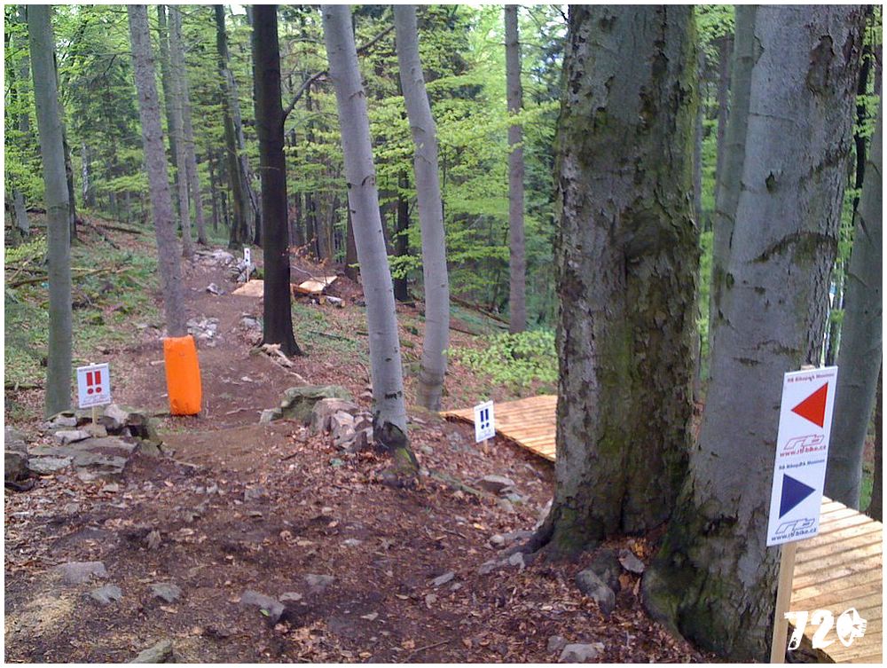 konecbrigar jaro (9).jpg