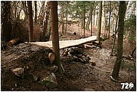 konecbrigar jaro (13).jpg