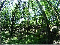 konecbrigar jaro (16).jpg