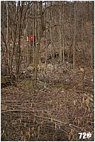 konecbrigar jaro (19).jpg