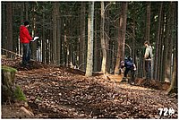 konecbrigar jaro (22).jpg