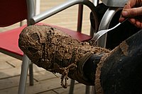 konecbrigar jaro (3).jpg